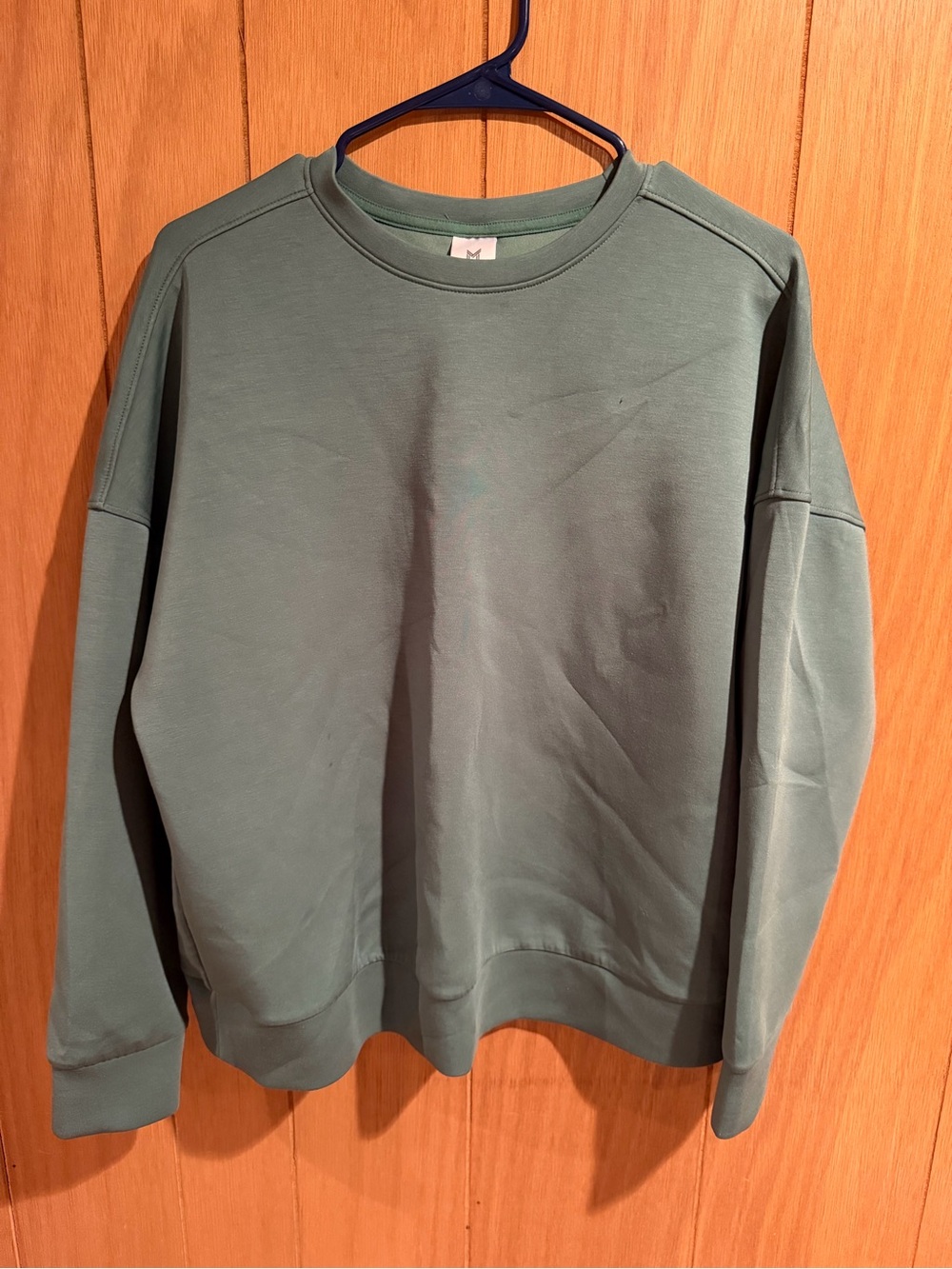 Women's Crewneck Sweatshirt - Sage Green